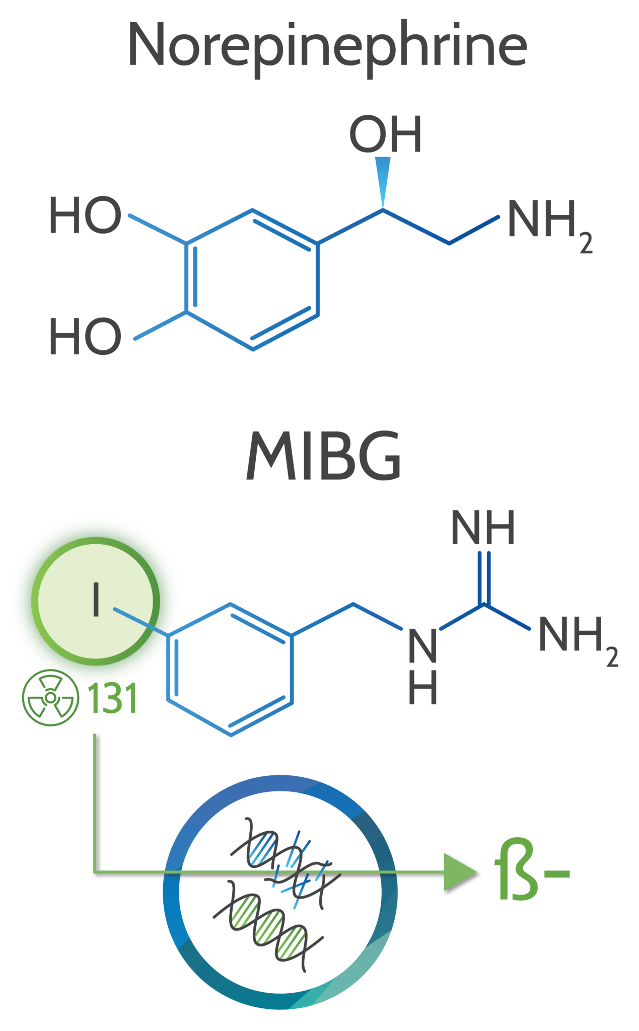 what-is-mibg-neuroblastoma-clinical-trial-optimum-study